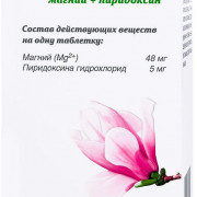 small-magnelis-b6-tab-p.p.o.-48mg-5mg-n120-ban-pk-0